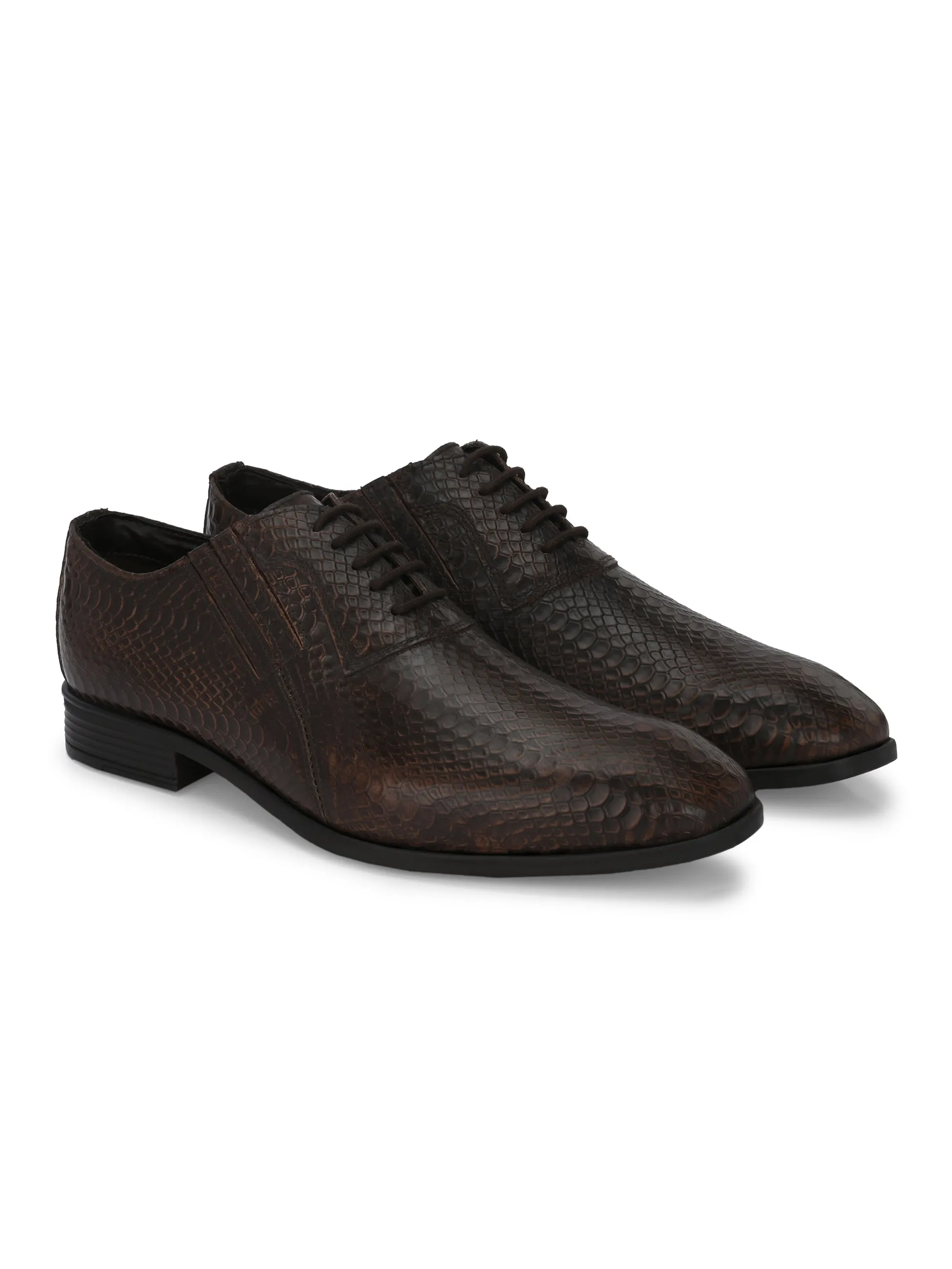 CARLO ROMANO BROWN COLOR PREMIUM ITALIAN RANGE SNAKE PRINTED LEATHER DERBY FORMAL SHOE FOR MEN