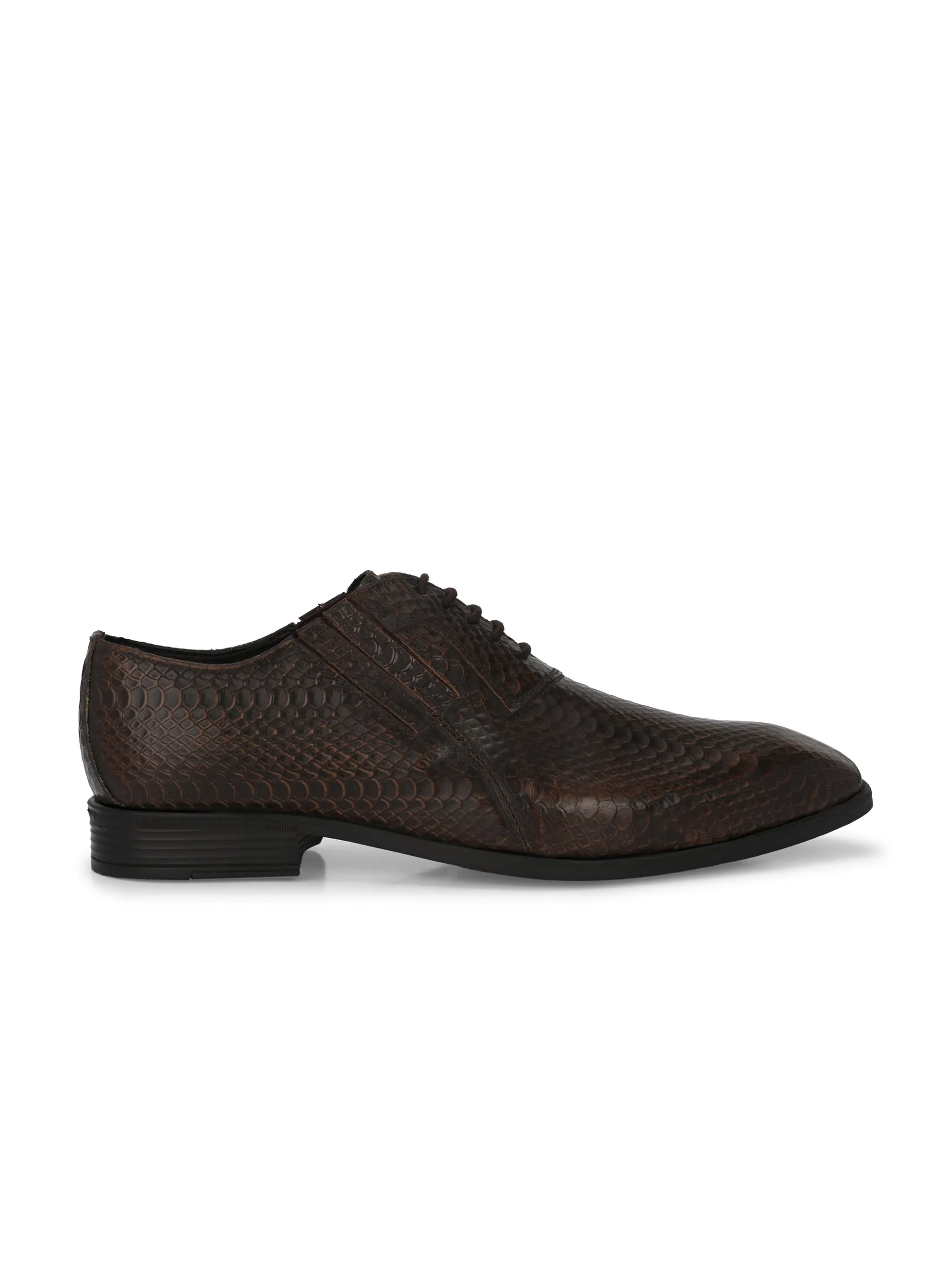 CARLO ROMANO BROWN COLOR PREMIUM ITALIAN RANGE SNAKE PRINTED LEATHER DERBY FORMAL SHOE FOR MEN