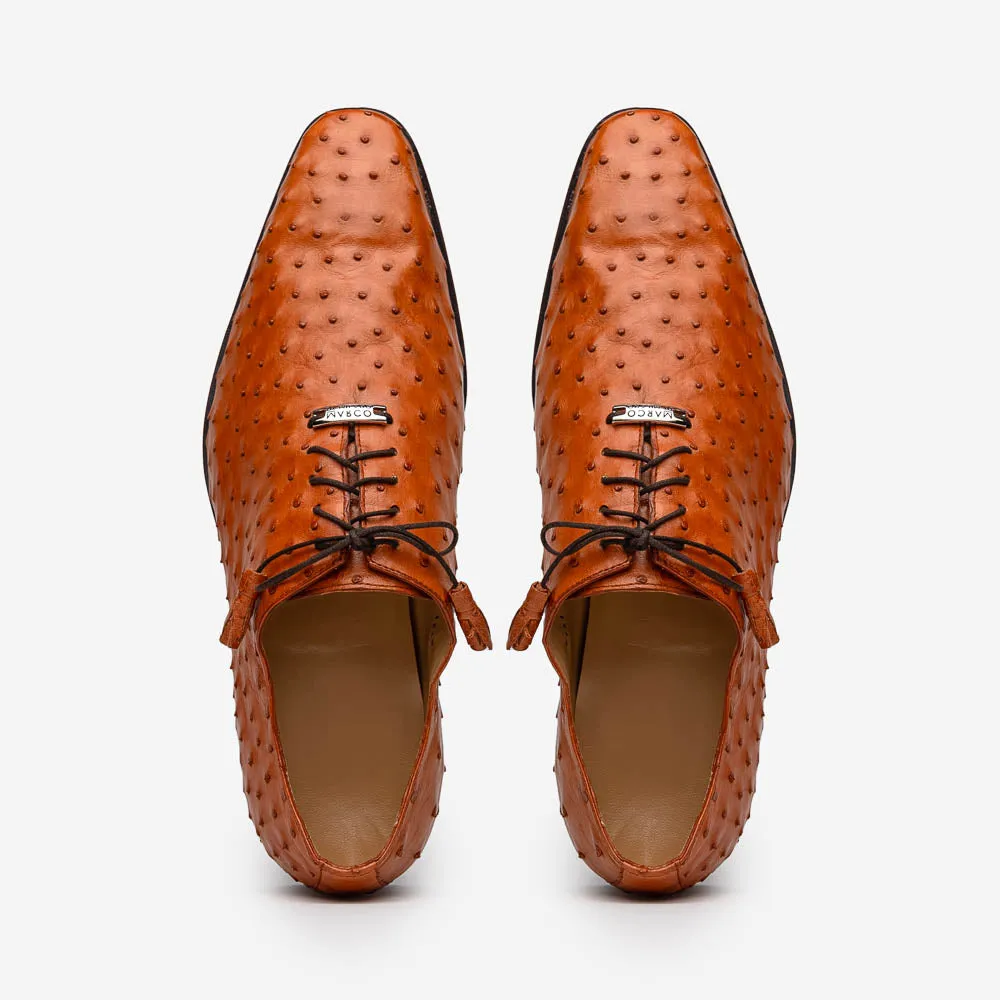 Criss  Brandy