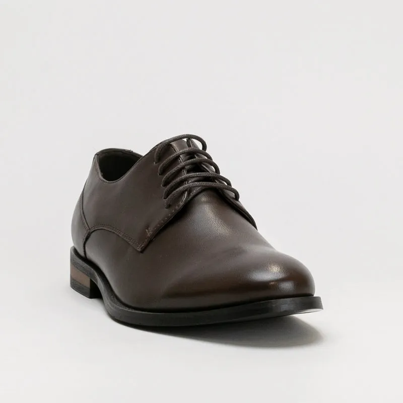 Derby Lace Up _ 159846