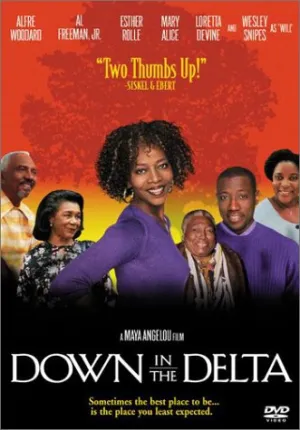 Down in the Delta [DVD]