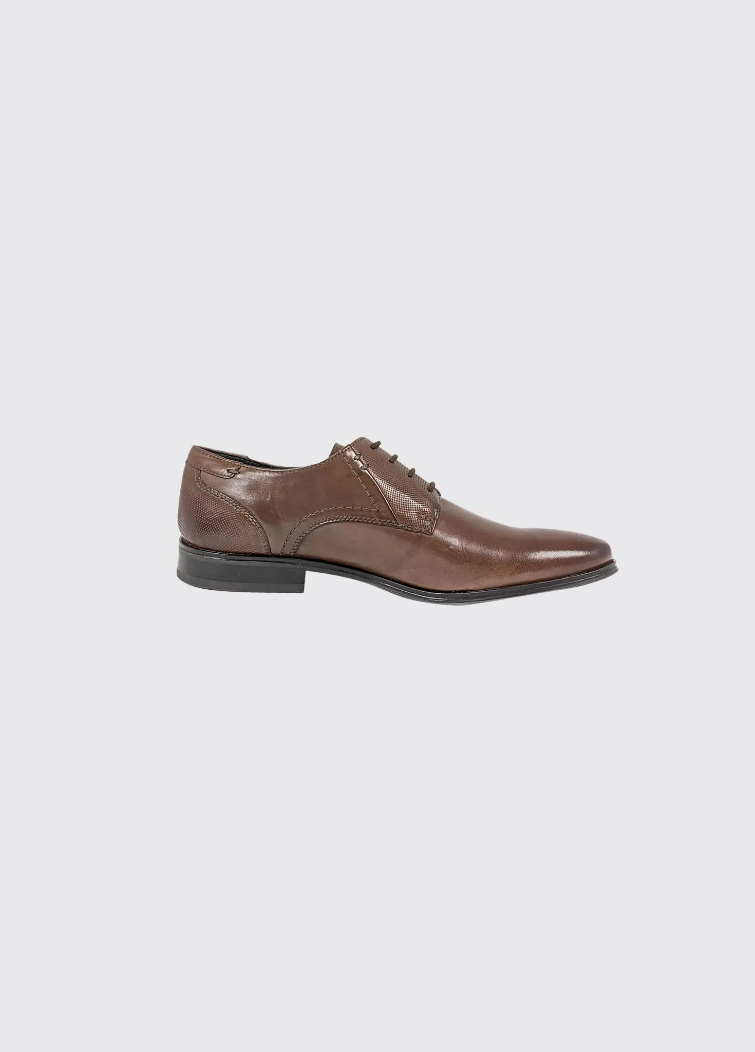 Drago - Brown