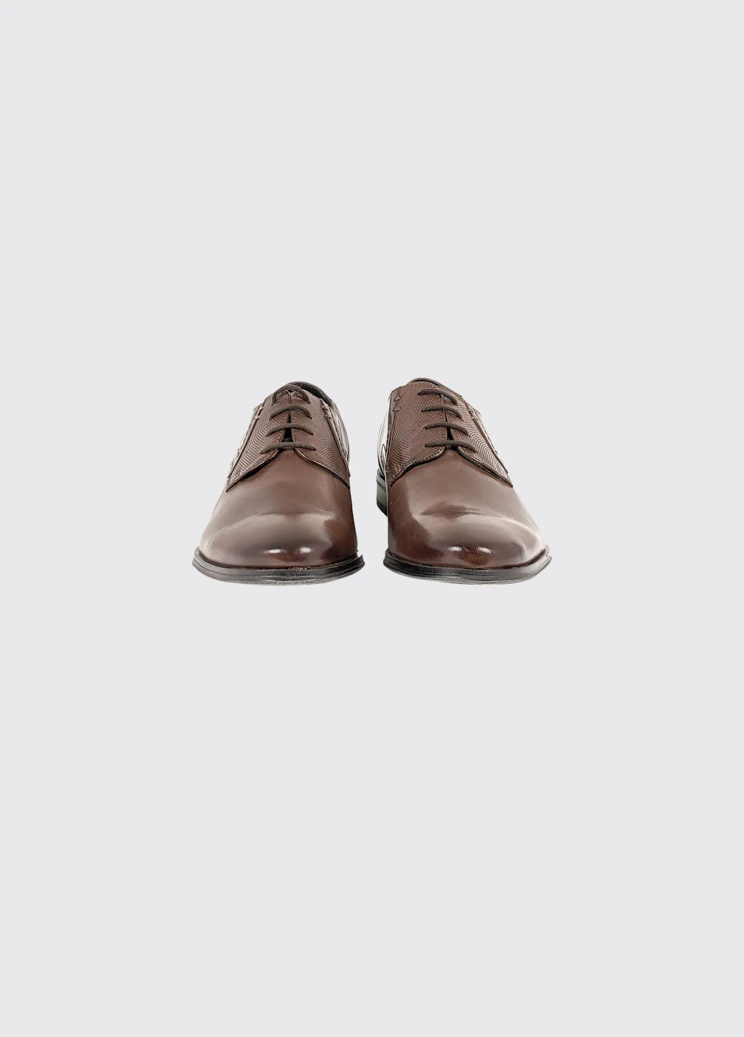 Drago - Brown