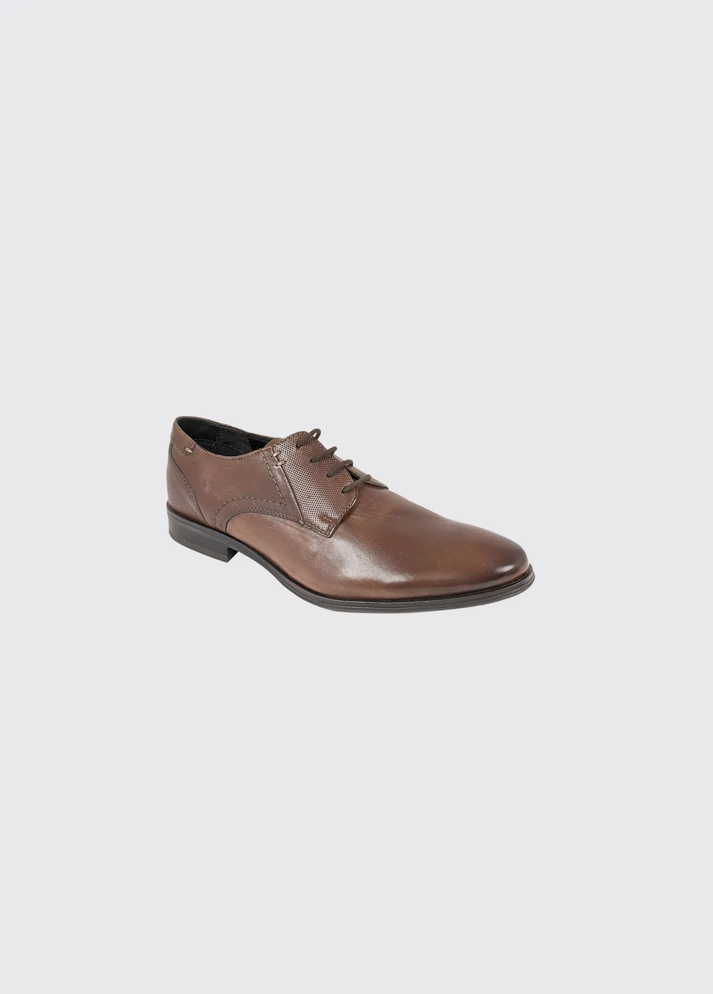 Drago - Brown
