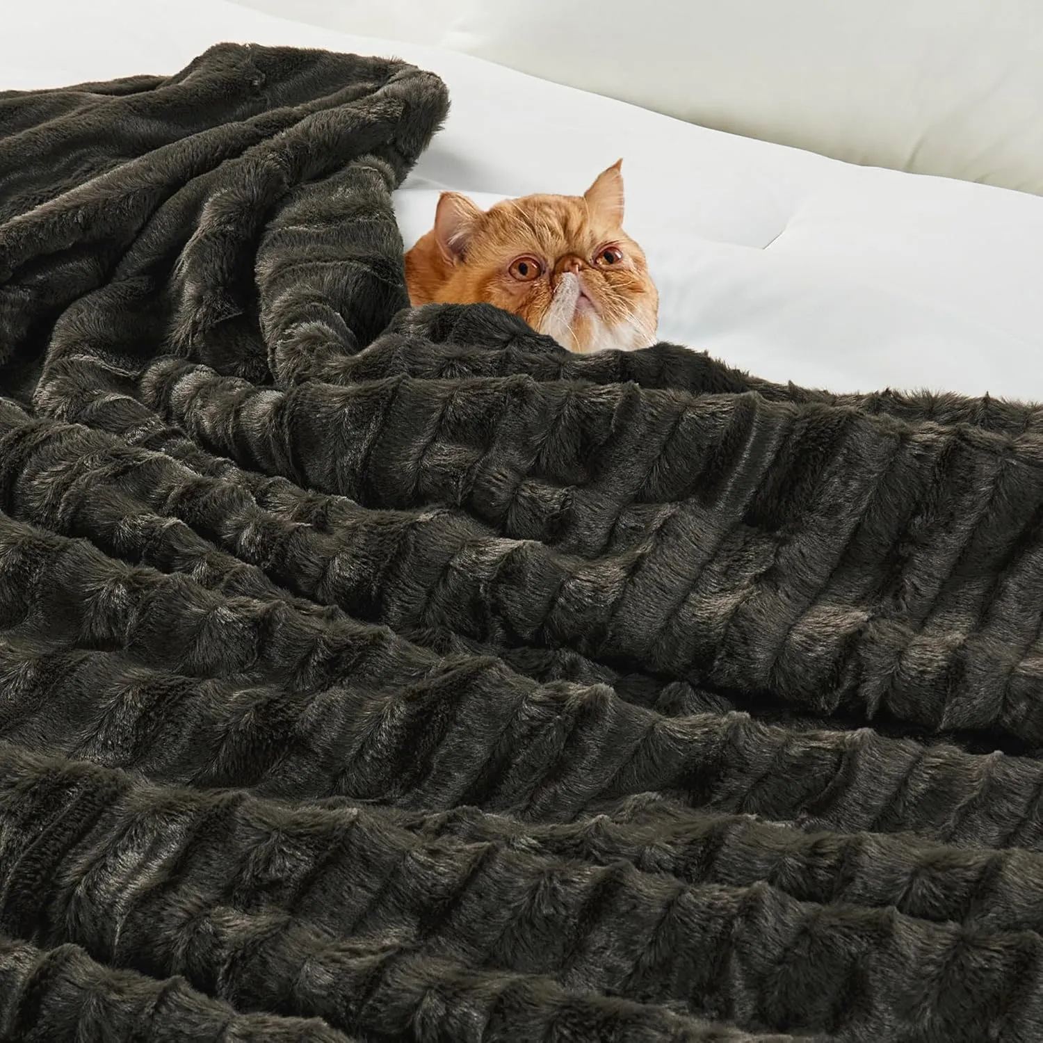 Home Soft Things Derby Double Sided Faux Fur Throw Blanket, Chocolate, 50'' x 60'', Super Soft Comfy Fluffy Plush Bed Couch Cover for All Year Round Accent Home Decoration