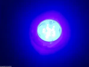 Pactrade Marine RV Boat Trailer 6 LED Blue Ceiling Courtesy Light S S Rim Flush/Surface