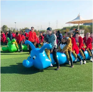 Team Building Games 2 Pcs Carnival Inflatable Toys for Teens Adults Family Field Day Outdoor Indoor School Backyard Party, with Inflation Pump(10 seats/L-5M)